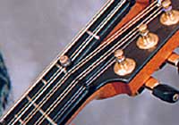 Pinpoint capo in use.