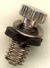 Pinpoint capo screw.